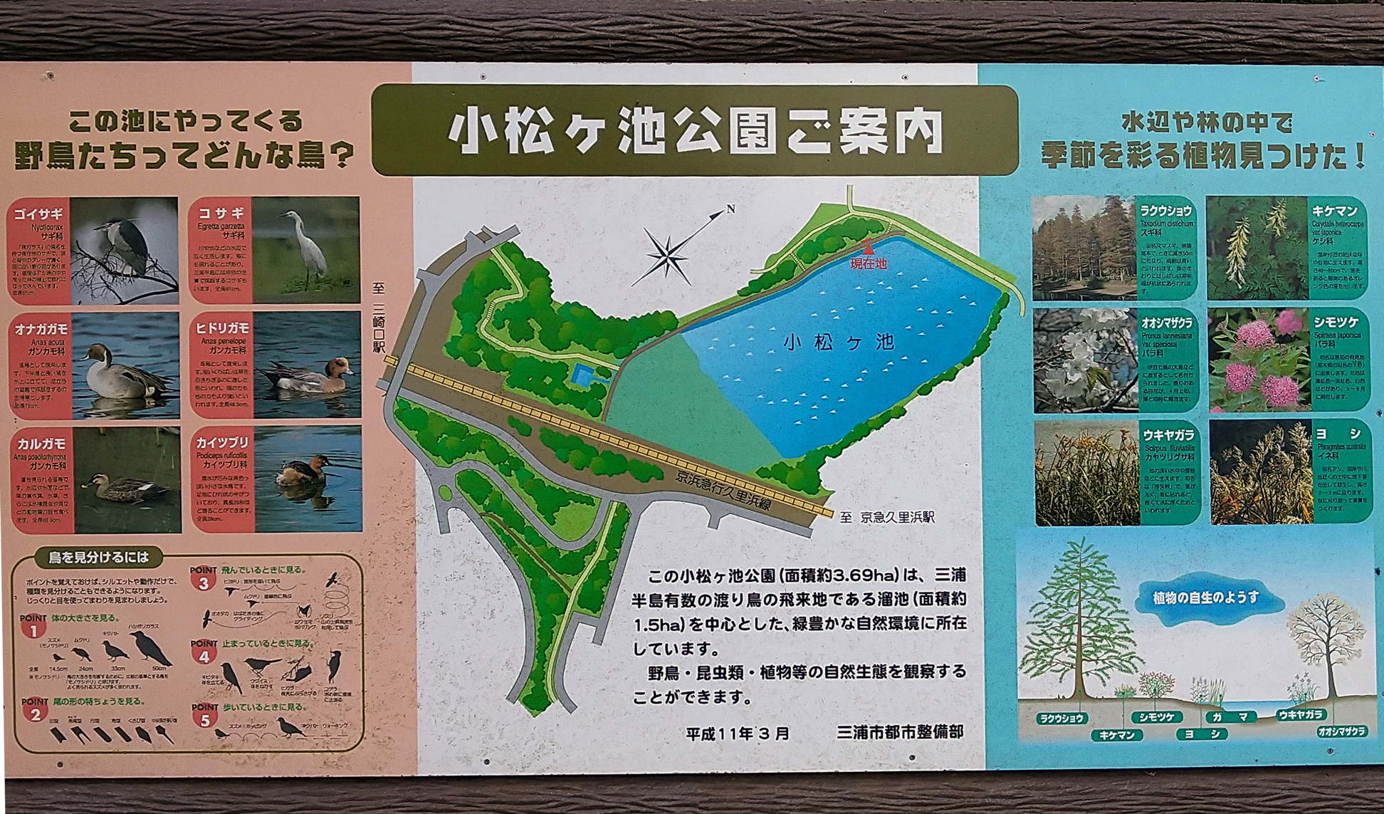 小松が池MAP１
