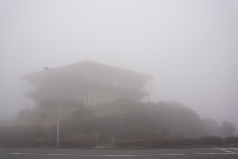 大観山展望台が霧で見えない