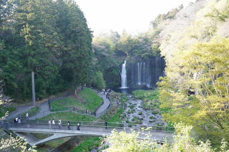 白糸の滝の写真