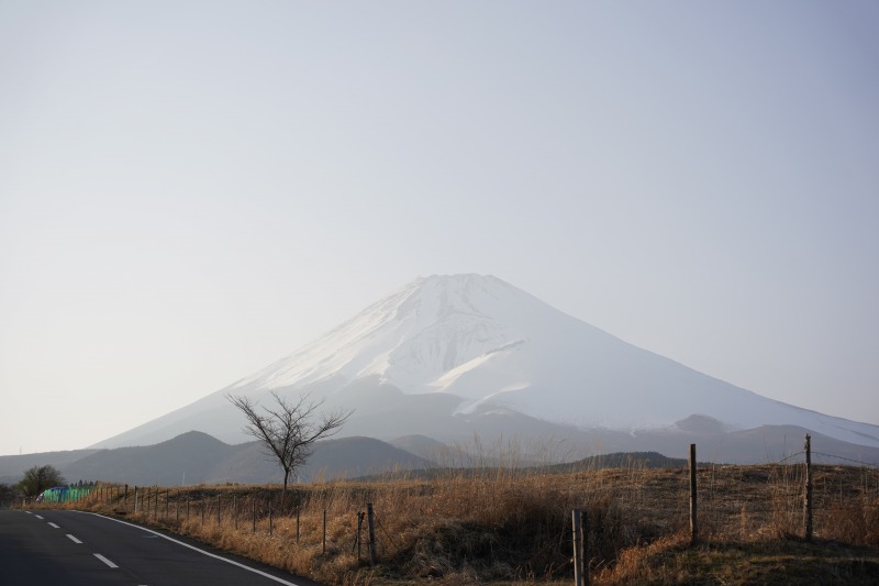 ビクトリーロードからの富士山の写真