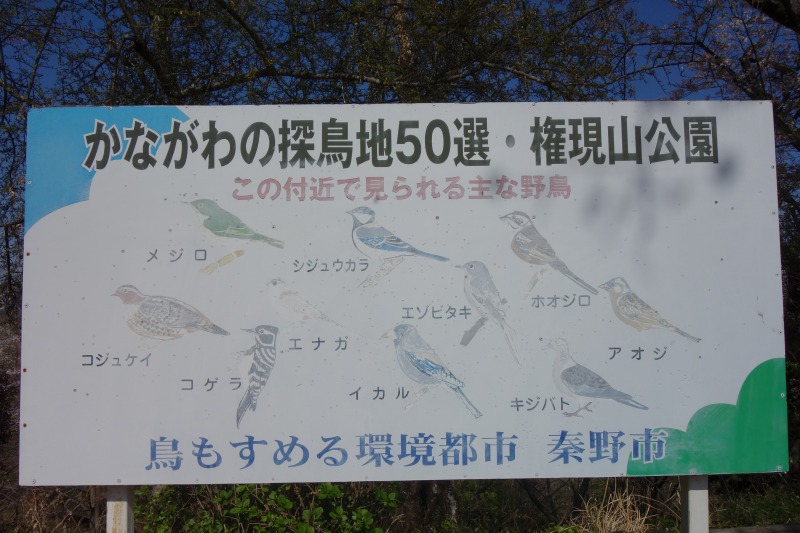 神奈川の探鳥地50選