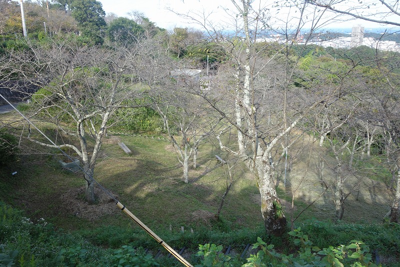 県立塚山公園の写真