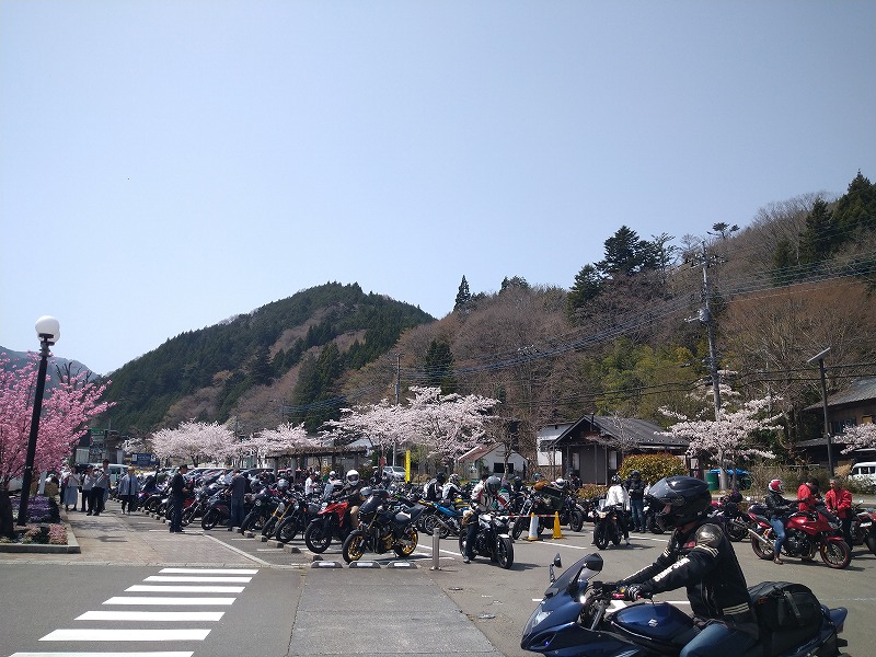 新戸キャンプ場編：ツーリングキャンプ写真