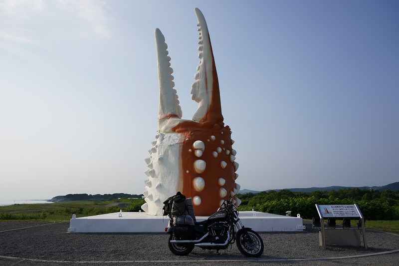 カニの爪