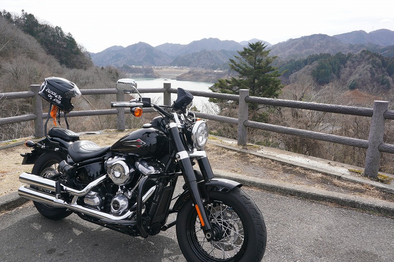 鳥居原園地からの宮ケ瀬湖